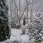 Au Jardin De Lisa 3*