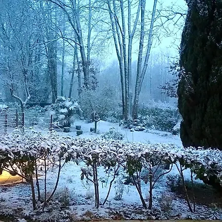 Au Jardin De Lisa