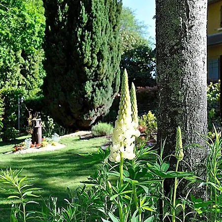 Au Jardin De Lisa Bed & Breakfast 3*
