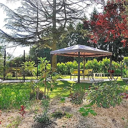 Au Jardin De Lisa Cherreau