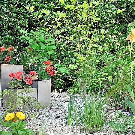 Au Jardin De Lisa Bed & Breakfast Cherreau
