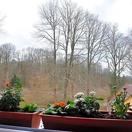 Au Jardin De Lisa Bed & Breakfast Cherreau