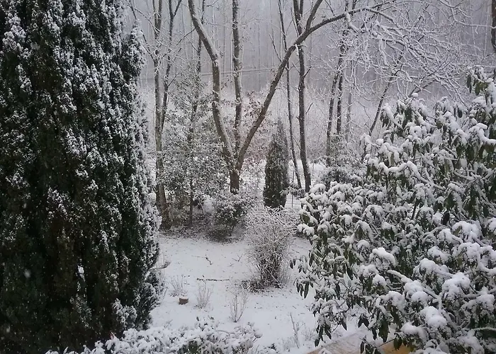 Au Jardin De Lisa 3*